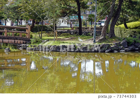 中村公園・点景 中村公園・点景 73744303