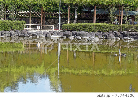 中村公園・点景 73744306