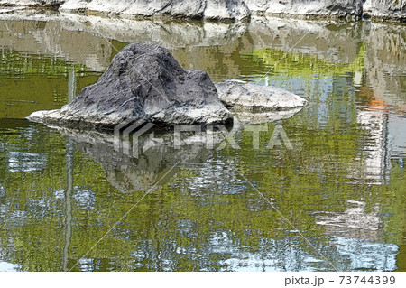 中村公園・点景 73744399