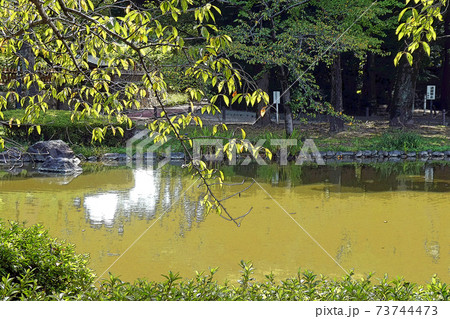 中村公園・点景 中村公園・点景 73744473
