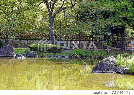 中村公園・点景 中村公園・点景 73744475