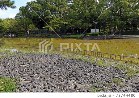 中村公園・点景 中村公園・点景 73744480