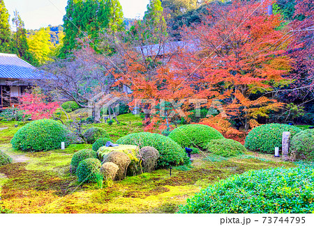 京都、泉涌寺雲龍院の庭園 京都、泉涌寺雲龍院の庭園 73744795