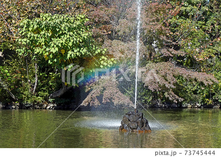 鶴舞公園点景 鶴舞公園点景 73745444