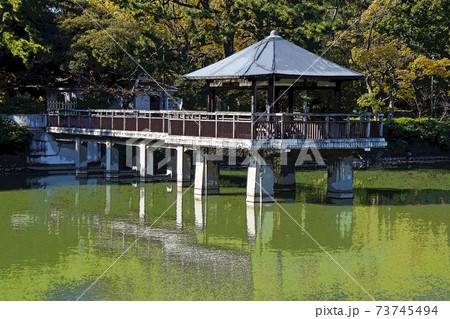 鶴舞公園点景 73745494