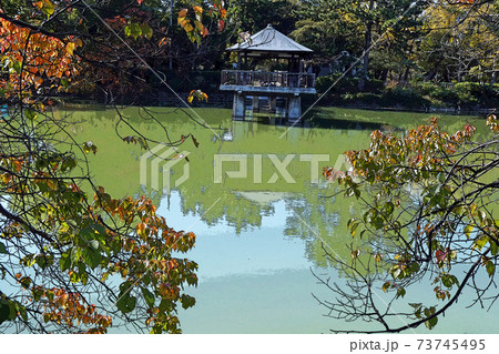 鶴舞公園点景 73745495