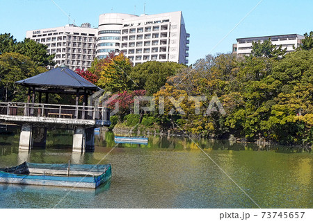 鶴舞公園点景 鶴舞公園点景 73745657