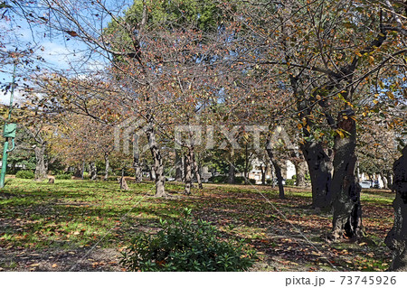 鶴舞公園点景 73745926