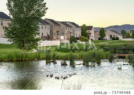 Bridge over a pond surrounded by grasses at a park in front of family homes 73746488