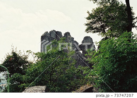 カノッサ 73747207