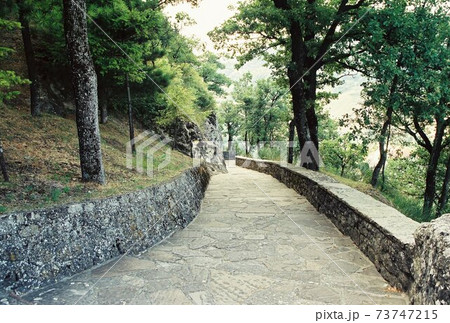 カノッサ 73747215