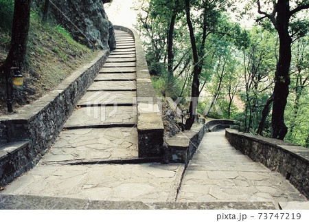 カノッサ カノッサ 73747219