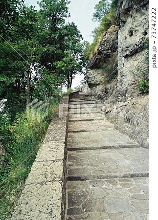 カノッサ 73747222