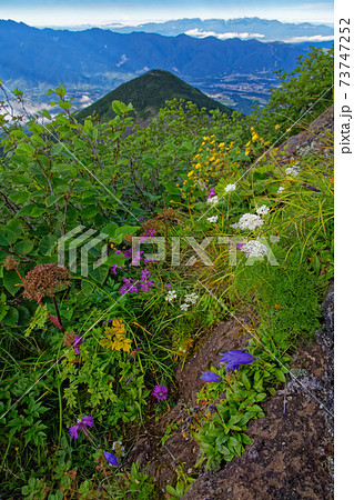八ヶ岳連峰・権現岳の高山植物と編笠山・中央アルプスの眺め 73747252