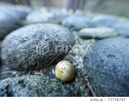 郡上八幡の町並み 73748787