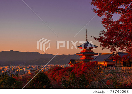 京都　夕暮れの清水寺　三重塔と紅葉　　　　　　 73749068