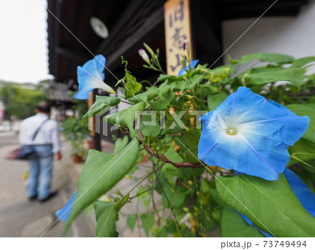 飛騨高山の古い街並み 三町伝統的建造物群保存地区 73749494