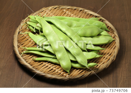もぎたてのさやいんげんザル盛り、モロッコインゲン、夏野菜 73749706