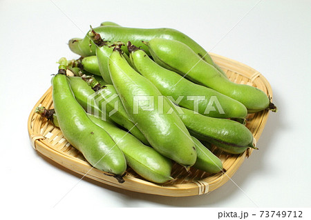 そら豆、もぎたてのさや入りそら豆のザル盛り、夏野菜、白バック そら豆、もぎたてのさや入りそら豆のザル盛り、夏野菜、白バック 73749712