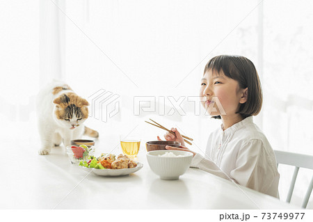 朝ごはんを食べる女の子と猫 朝ごはんを食べる女の子と猫 73749977