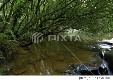 滝 瀧 瀑布 73750160