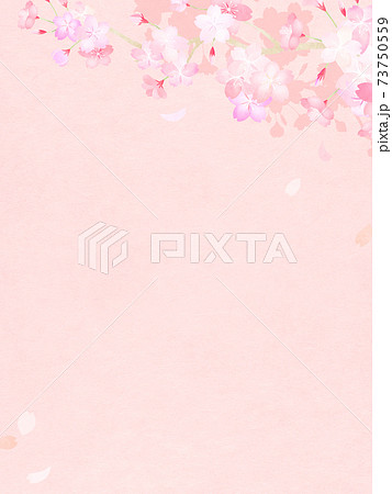 桜の背景 - 複数のバリエーションがあります 桜の背景 - 複数のバリエーションがあります 73750559