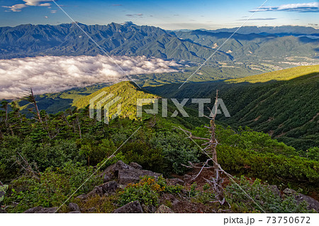 八ヶ岳連峰・三ツ頭から見る南アルプスと中央アルプス 73750672