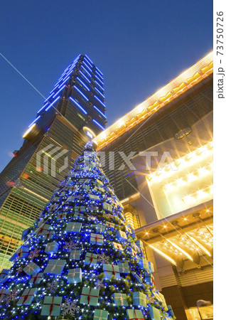 クリスマスホーリー クリスマス・ホーリー クリスマスツリー 73750726
