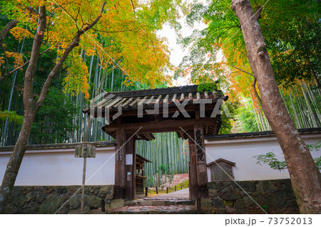 京都　竹の寺地蔵院の山門と竹林　紅葉　　　　　 73752013