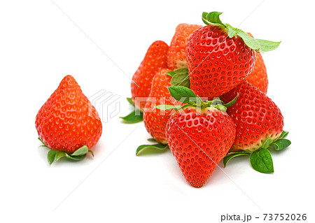 いちご（ゆめのか） 73752026