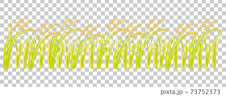 Inaho rice field 73752373