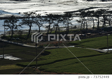 石 岩 グー 73752449