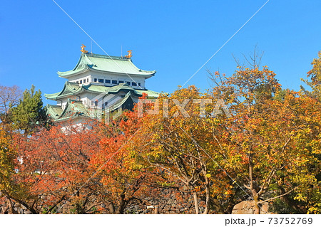 愛知県 紅葉と名古屋城大天守の写真素材