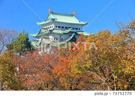 【愛知県】紅葉と名古屋城大天守 73752770
