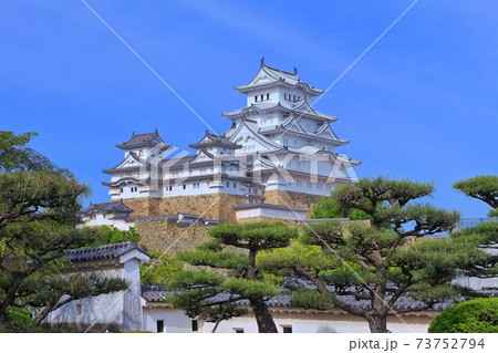【兵庫県】晴天下の姫路城 73752794