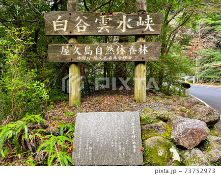 白谷雲水峡 白谷雲水峡 73752973