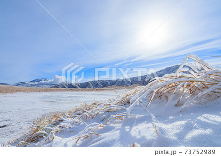 冬の草千里ヶ浜　熊本県阿蘇市 73752989
