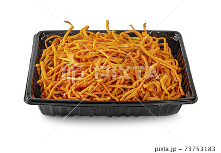 Cordyceps Sinensis Mushroom isolated white background Cordyceps Sinensis Mushroom isolated white background 73753183