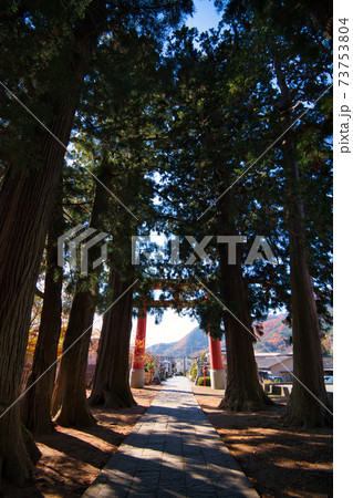 河口浅間神社 世界文化遺産 河口浅間神社 世界文化遺産 73753804