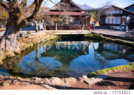 忍野八海の湧泉 73753811