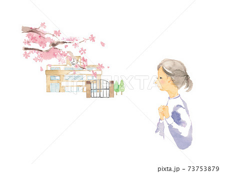 遠くから学校を見つめる女性、桜の季節 73753879