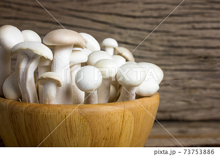 Shimeji mushroom or White beech mushroom on rustic wooden background. Shimeji mushroom or White beech mushroom on rustic wooden background. 73753886