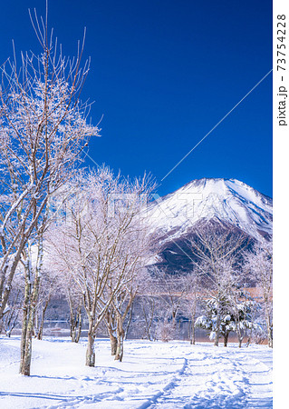 Yamanashi Prefecture Mt Fuji And Hoarfrost Stock Photo