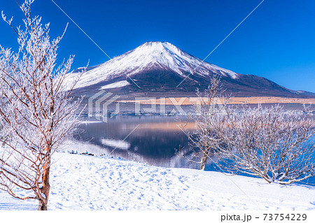 《山梨県》富士山と霧氷・日本の冬景色 《山梨県》富士山と霧氷・日本の冬景色 73754229