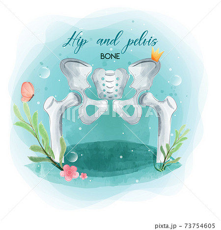 Medical orthopedic watercolor background. Treatment for orthopedics traumatology of hip and pelvis bones and joints injury. Medical presentation, hospital. Vector illustration 73754605
