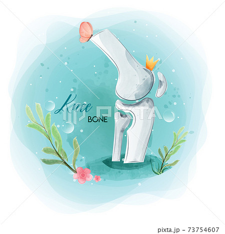 Medical orthopedic watercolor background. Treatment for orthopedics traumatology of knee bones and joints injury. Medical presentation, hospital. Vector illustration 73754607