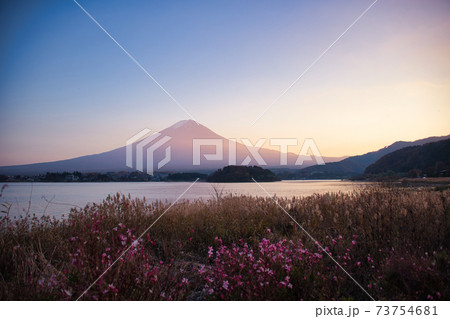大石公園からの絶景富士山 大石公園からの絶景富士山 73754681