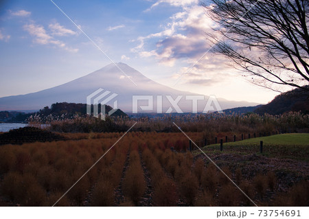 大石公園からの絶景富士山 73754691