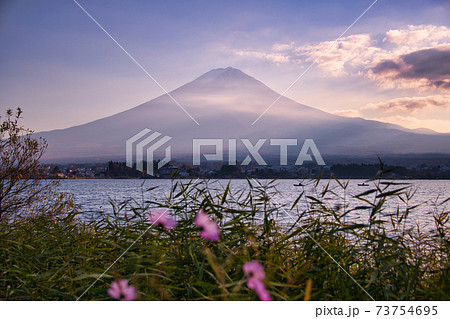 大石公園からの絶景富士山 大石公園からの絶景富士山 73754695