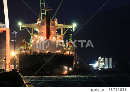 埠頭に停泊中の巨大船 73755838